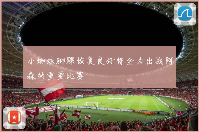 小蜘蛛脚踝恢复良好将全力出战阿森纳重要比赛